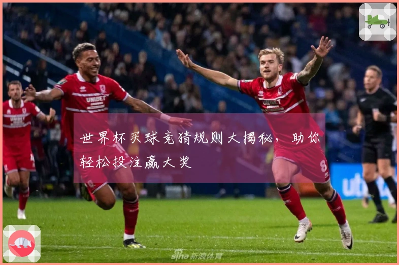 世界杯买球竞猜规则大揭秘，助你轻松投注赢大奖