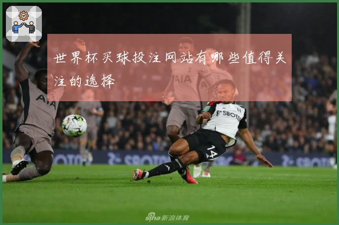 世界杯买球投注网站有哪些值得关注的选择