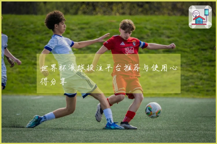 世界杯滚球投注平台推荐与使用心得分享