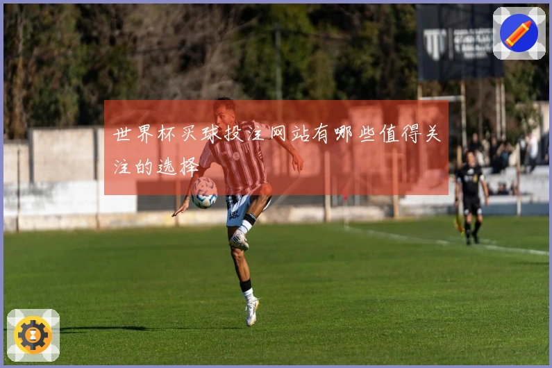 世界杯买球投注网站有哪些值得关注的选择