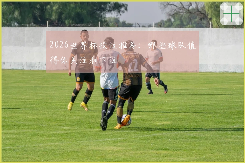 2026世界杯投注推荐：哪些球队值得你关注和下注